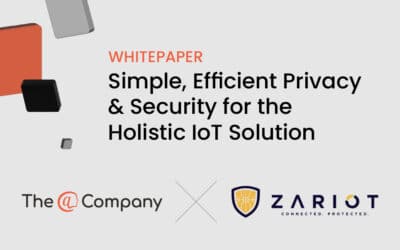 Simple, Efficient Privacy & Security for the Holistic IoT Solution