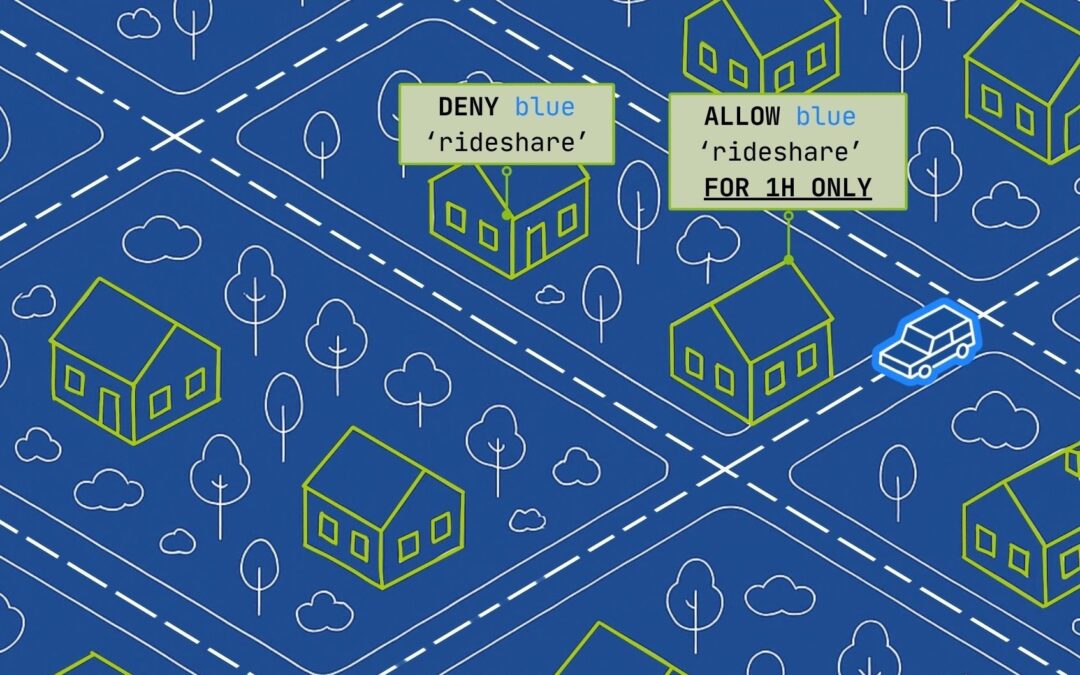Understanding Picosegmentation for Network Security