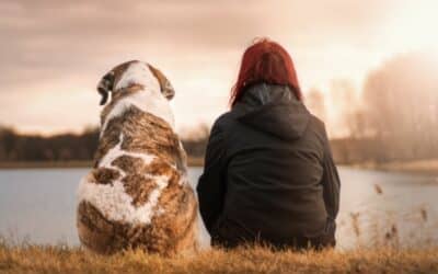 Why You Can Trust Our Tech